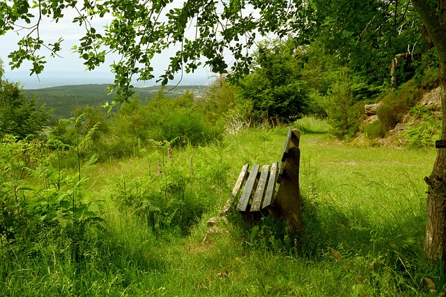 队提供了强 队提供了强