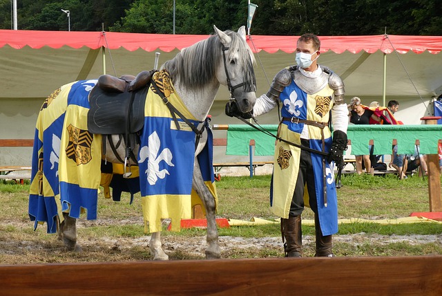 也为全联盟 也为全联盟