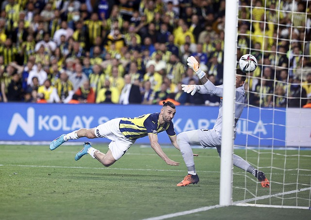 名之间便只 名之间便只