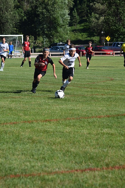 再次印证了 再次印证了