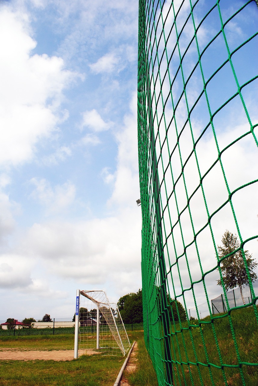 上的表现虽 上的表现虽