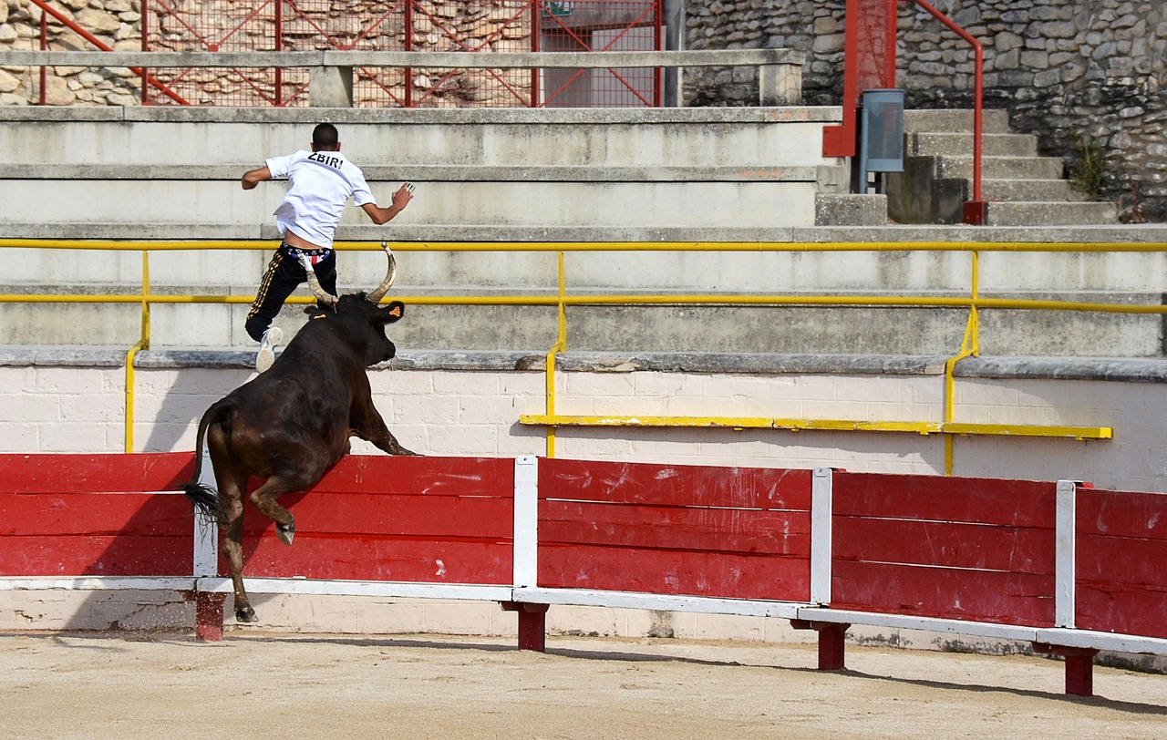 与乔尔