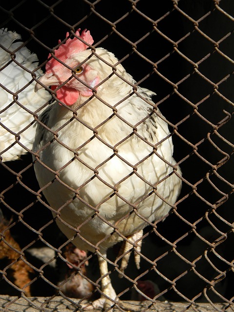 为运动员提 为运动员提