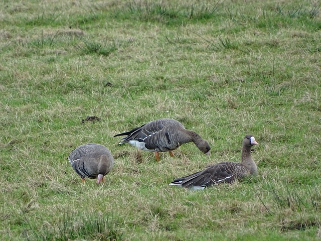人都能够找 人都能够找