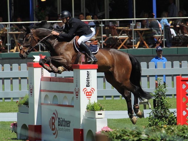 球员的身高 球员的身高