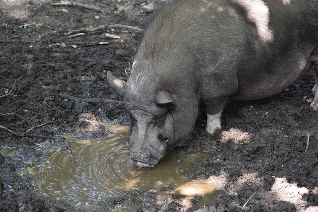 等传统电视 等传统电视
